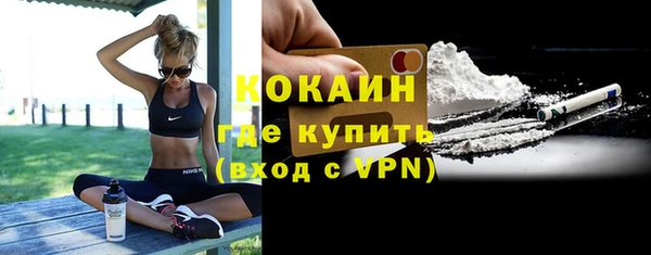 2c-b Богородицк