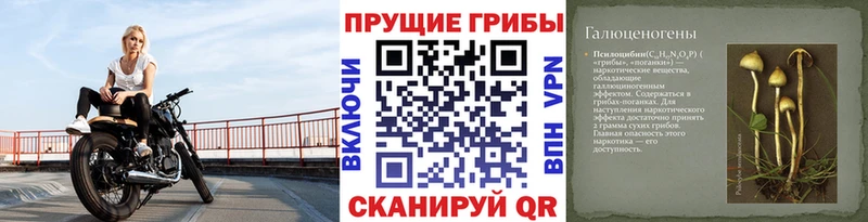 Галлюциногенные грибы прущие грибы  магазин    Южно-Сухокумск 